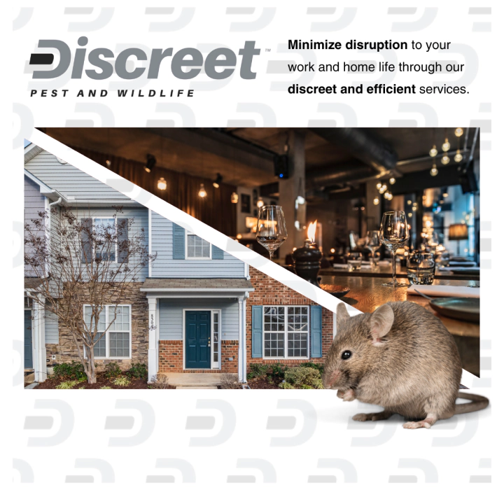 discreet about us image