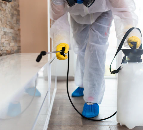 worker doing pest control service 1